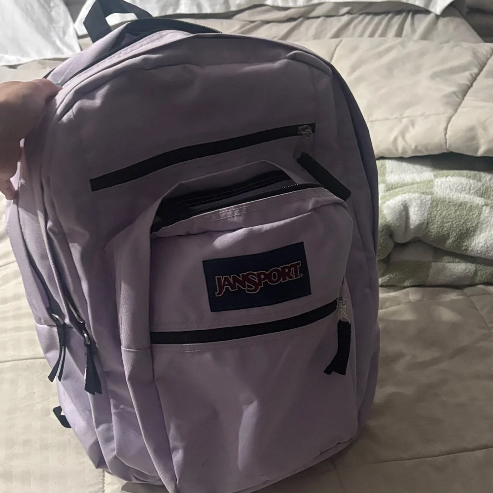 JanSport Light Purple Backpack